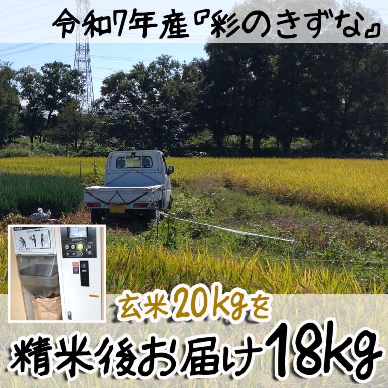 R7010-2