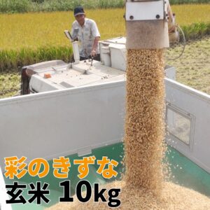 R8010-01
